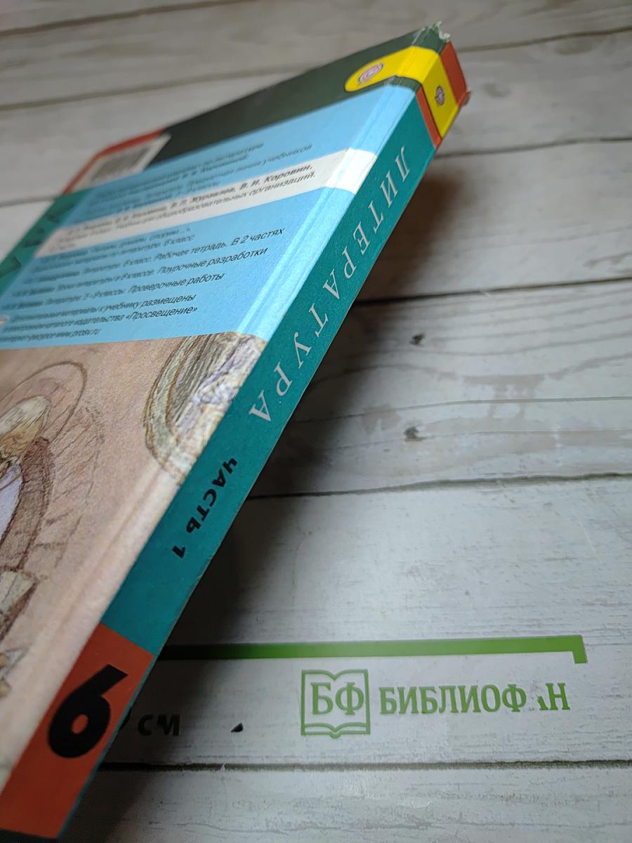 Литература. 6 класс. Часть 1