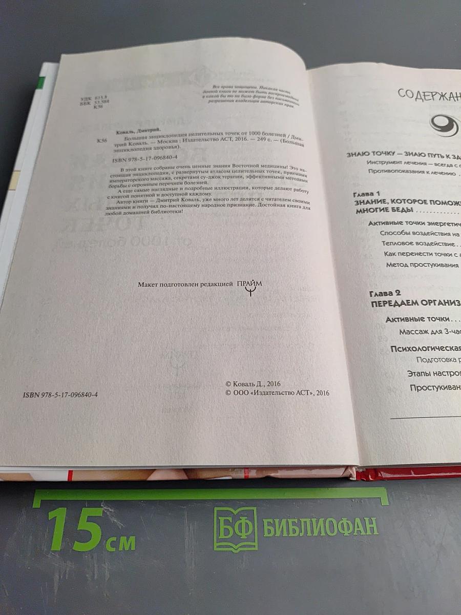 Большая энциклопедия целительных точек от 1000 болезней