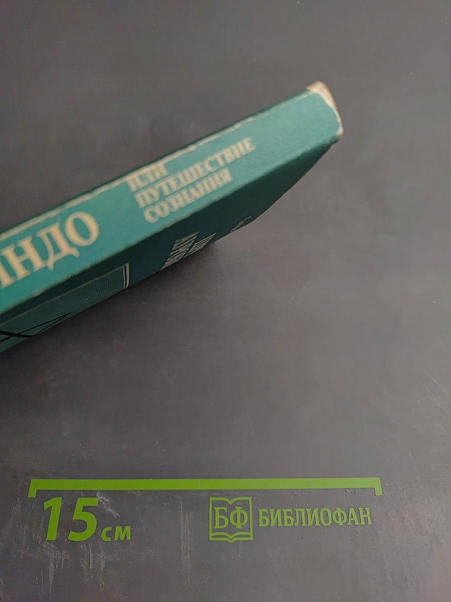 Шри Ауробиндо, или Путешествие сознания