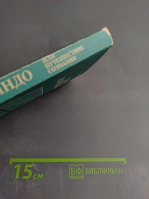 Шри Ауробиндо, или Путешествие сознания