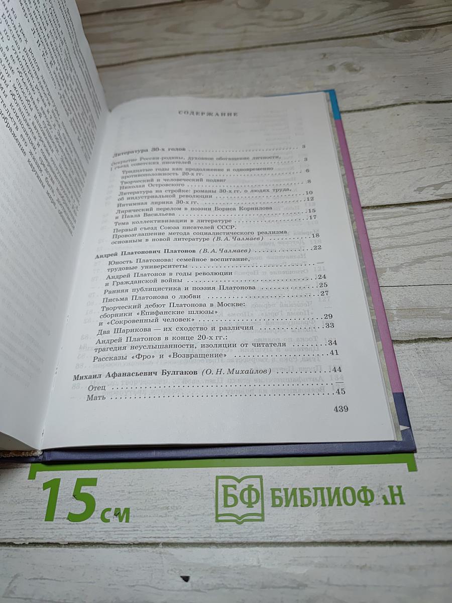 Литература 11 класс, Часть 2