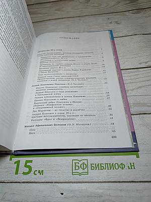 Литература 11 класс, Часть 2