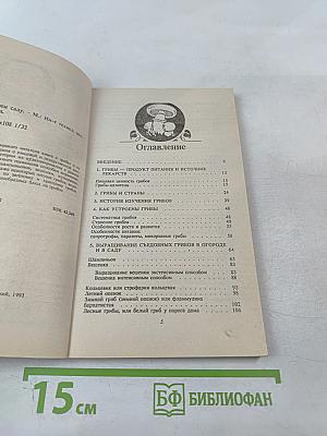 Грибы в своем саду