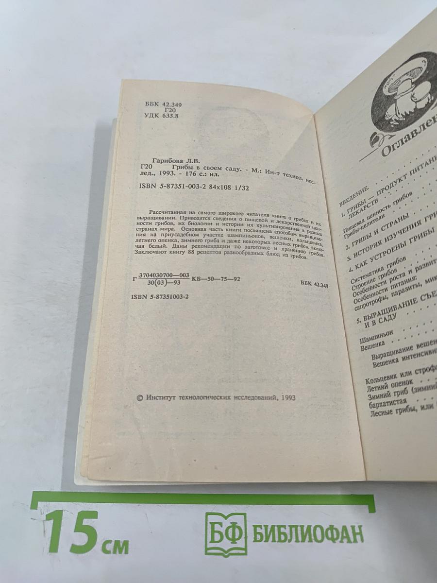 Грибы в своем саду