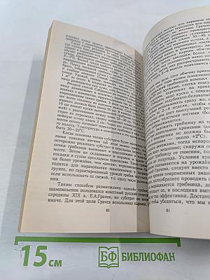 Грибы в своем саду