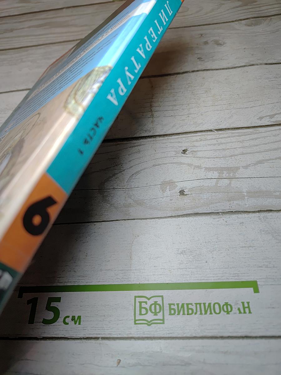 Литература, 6 класс, Часть 1