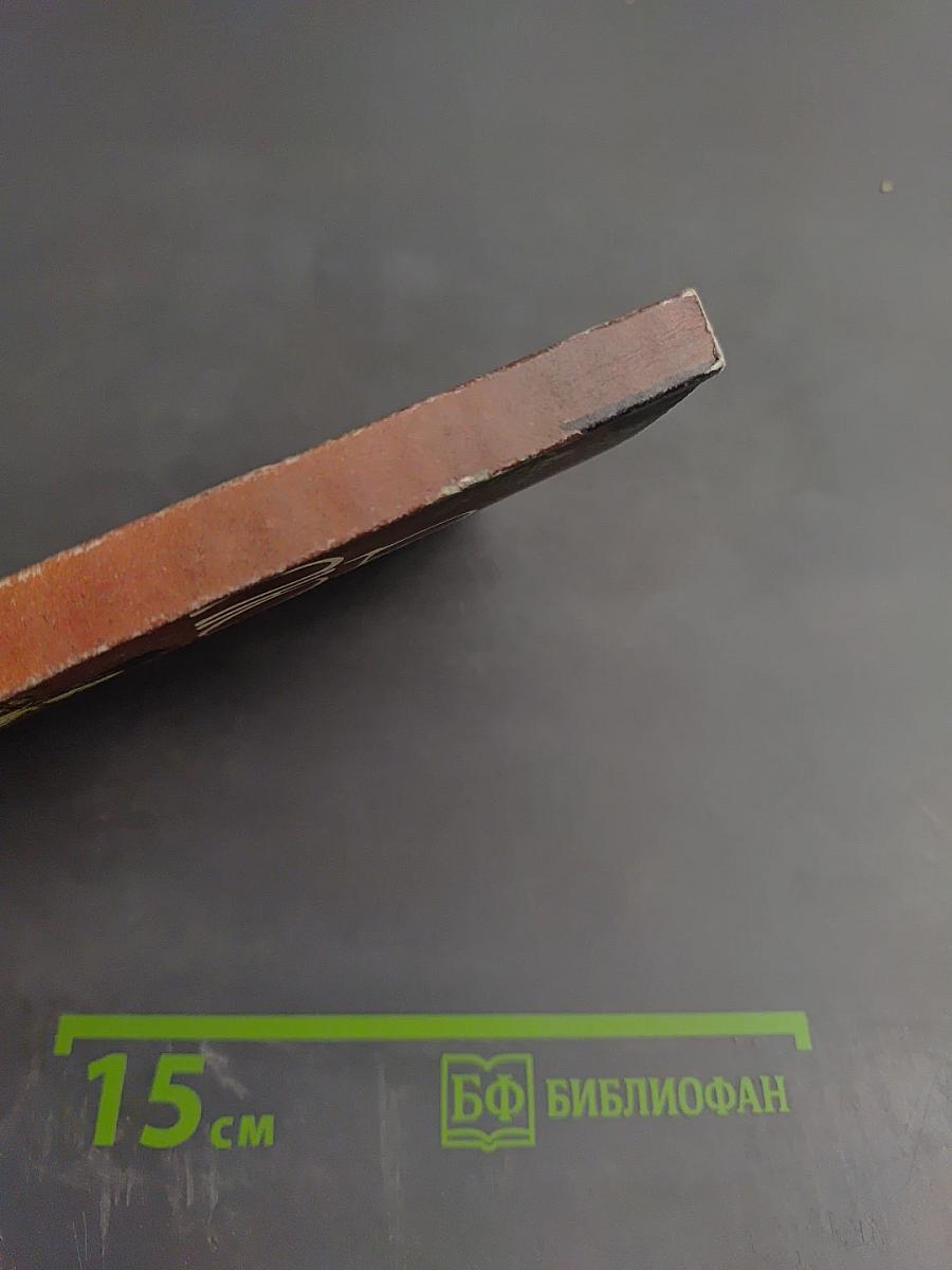 Тантра Любви. Дао Любви