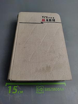 Сочинения. Том второй: Учитель Гнус; В маленьком городе