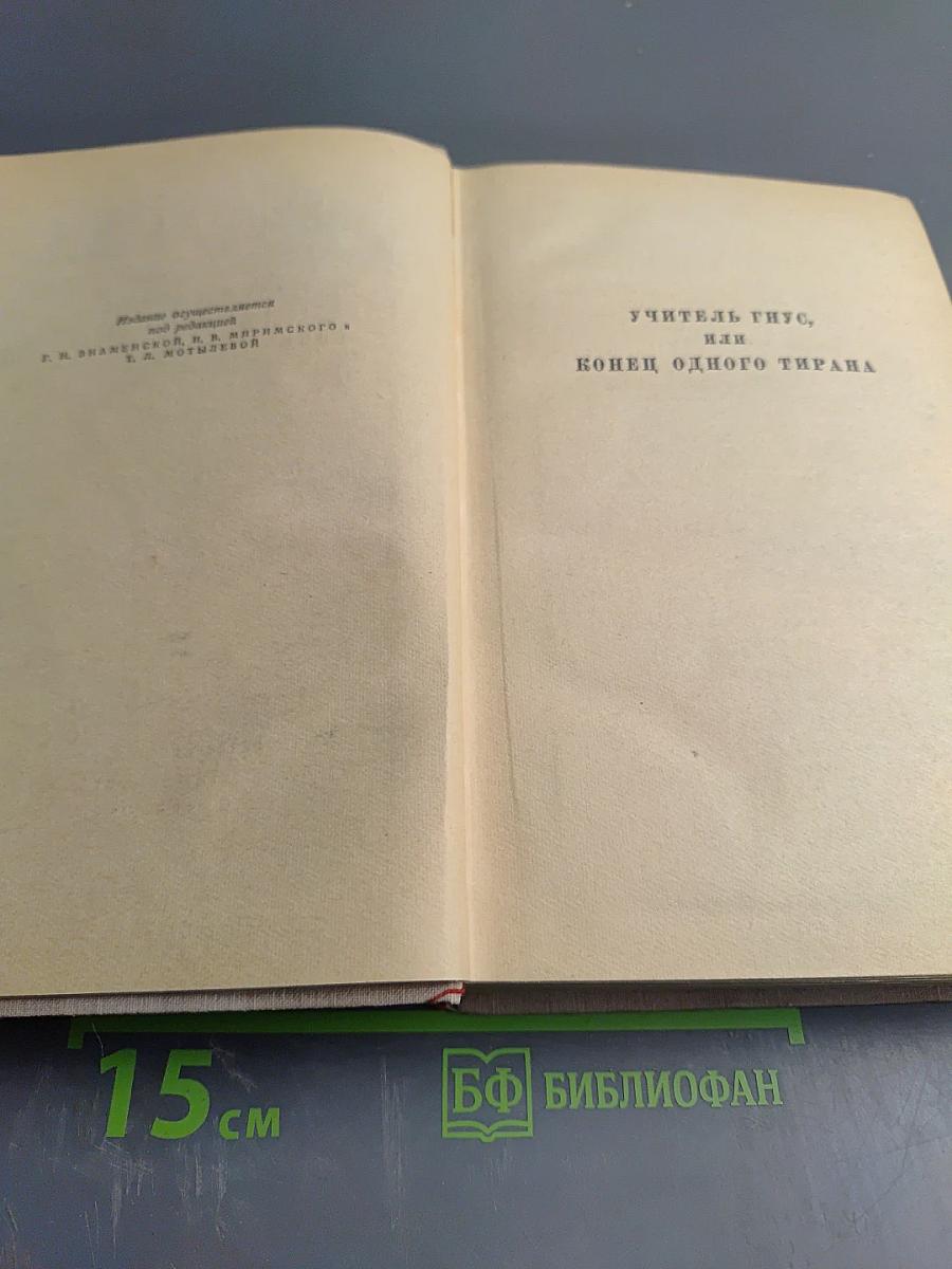 Сочинения. Том второй: Учитель Гнус; В маленьком городе