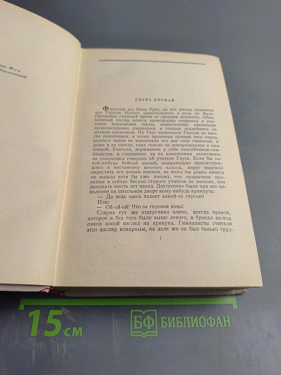 Сочинения. Том второй: Учитель Гнус; В маленьком городе