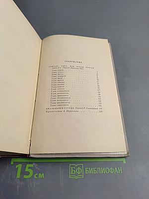 Сочинения. Том второй: Учитель Гнус; В маленьком городе