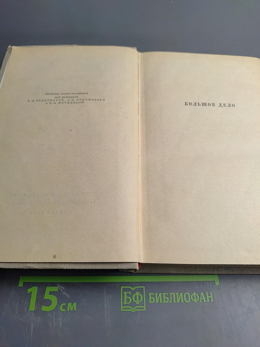 Сочинения. Том пятый. Большое дело. Серьезная жизнь