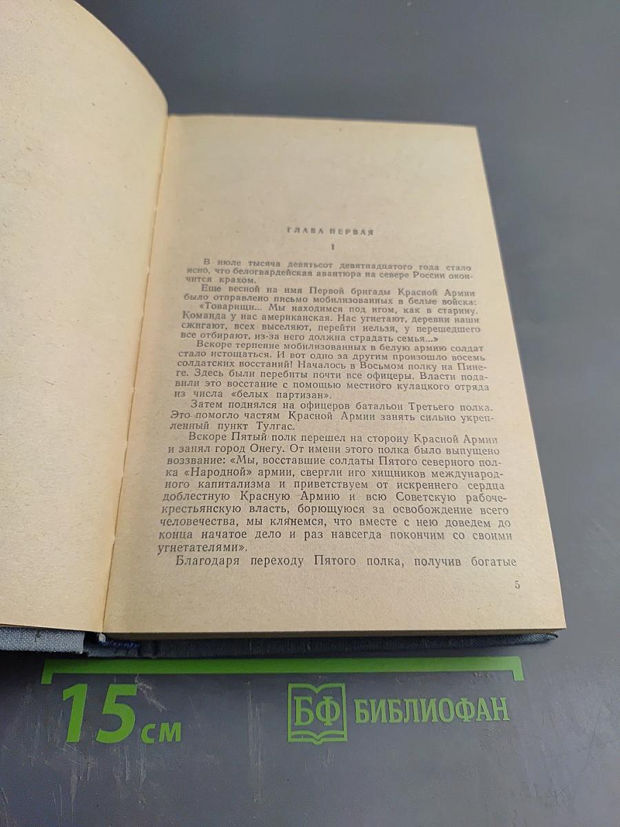 Беломорье. Книга вторая