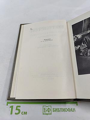 Собрание сочинений. Том пятнадцатый. Статьи об искусстве и литературе