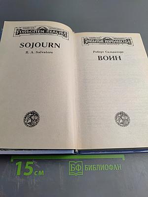 Воин (Темный эльф)