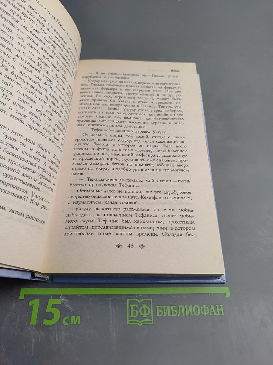 Воин (Темный эльф)
