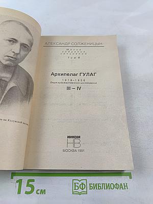 Архипелаг ГУЛАГ. Опыт художественного исследования 1918-1956. Части III-IV. Том 6