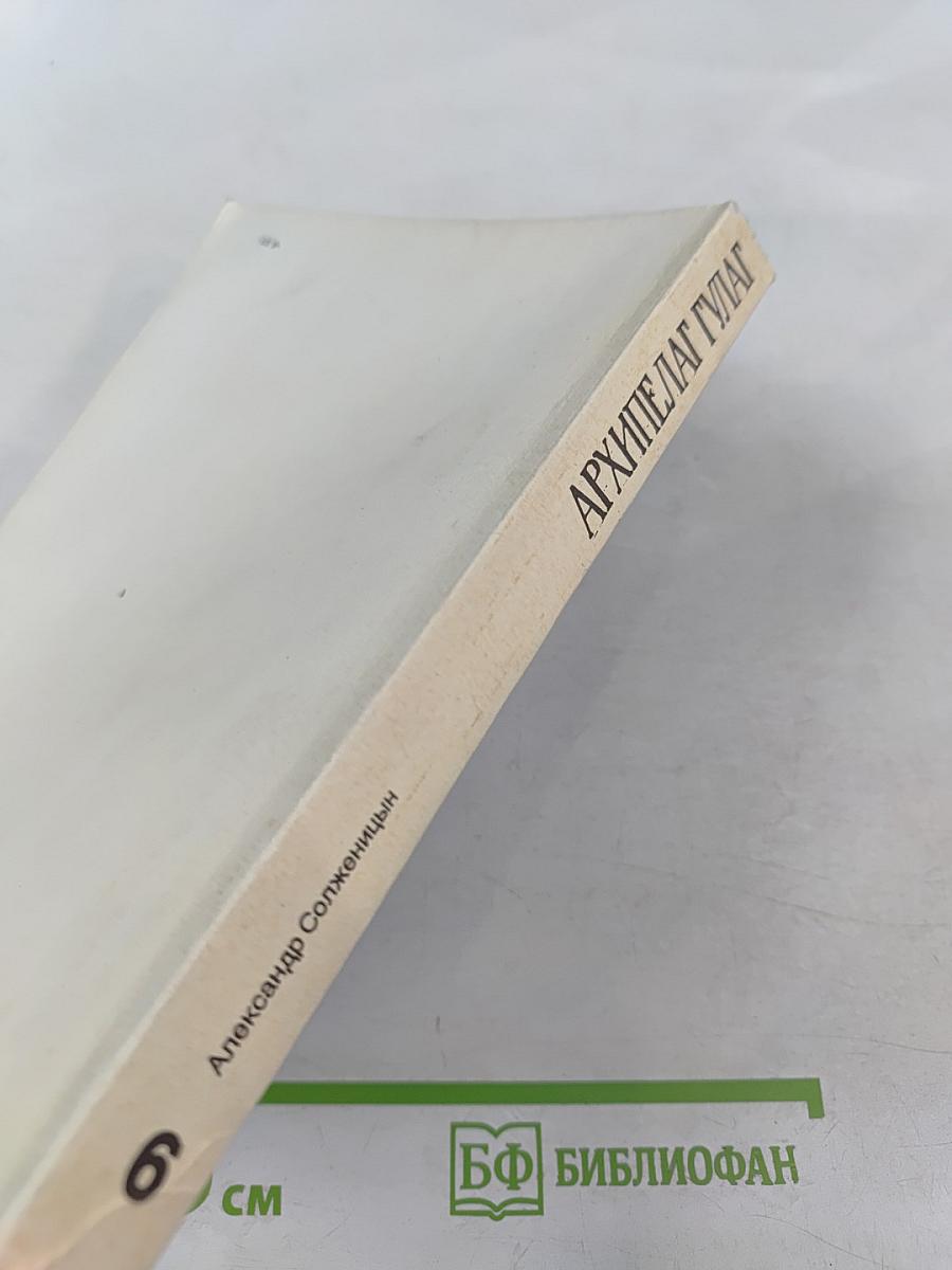 Архипелаг ГУЛАГ. Опыт художественного исследования 1918-1956. Части III-IV. Том 6