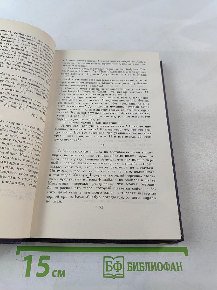 Кингсблад, потомок королей