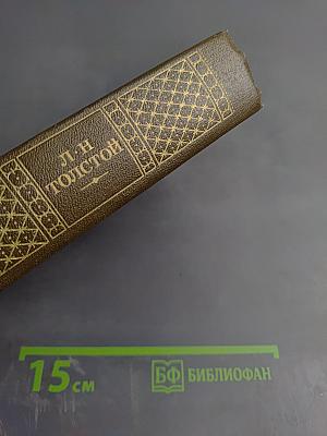 Дневники. 1847-1894. Собрание сочинений. Том 21