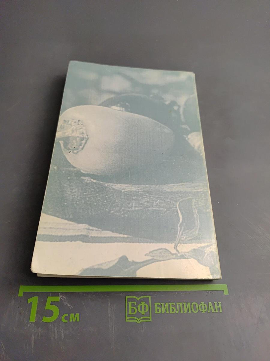 Проблемы лишнего веса