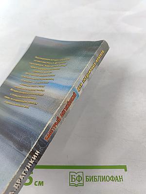 Быстрый английский для энергичных лентяев