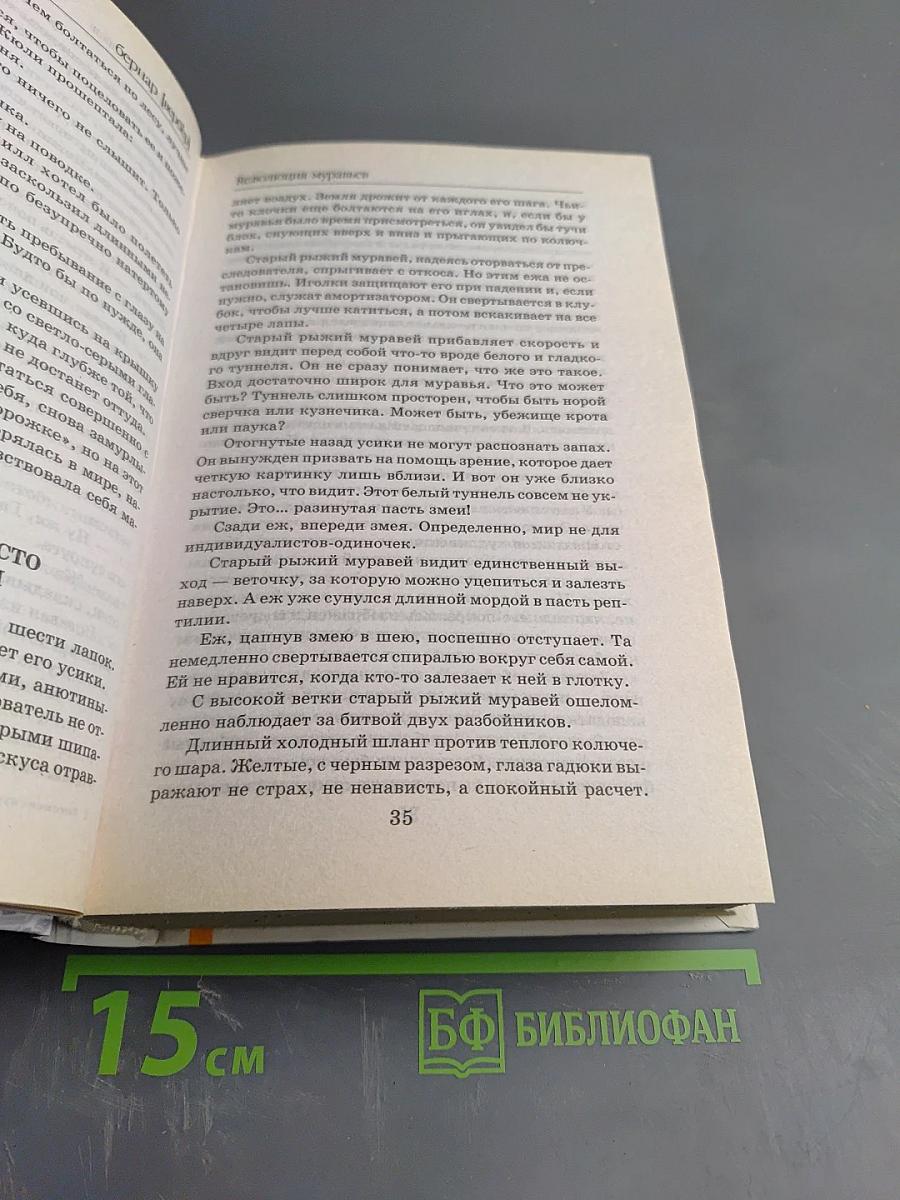 Ре:волюция муравьев