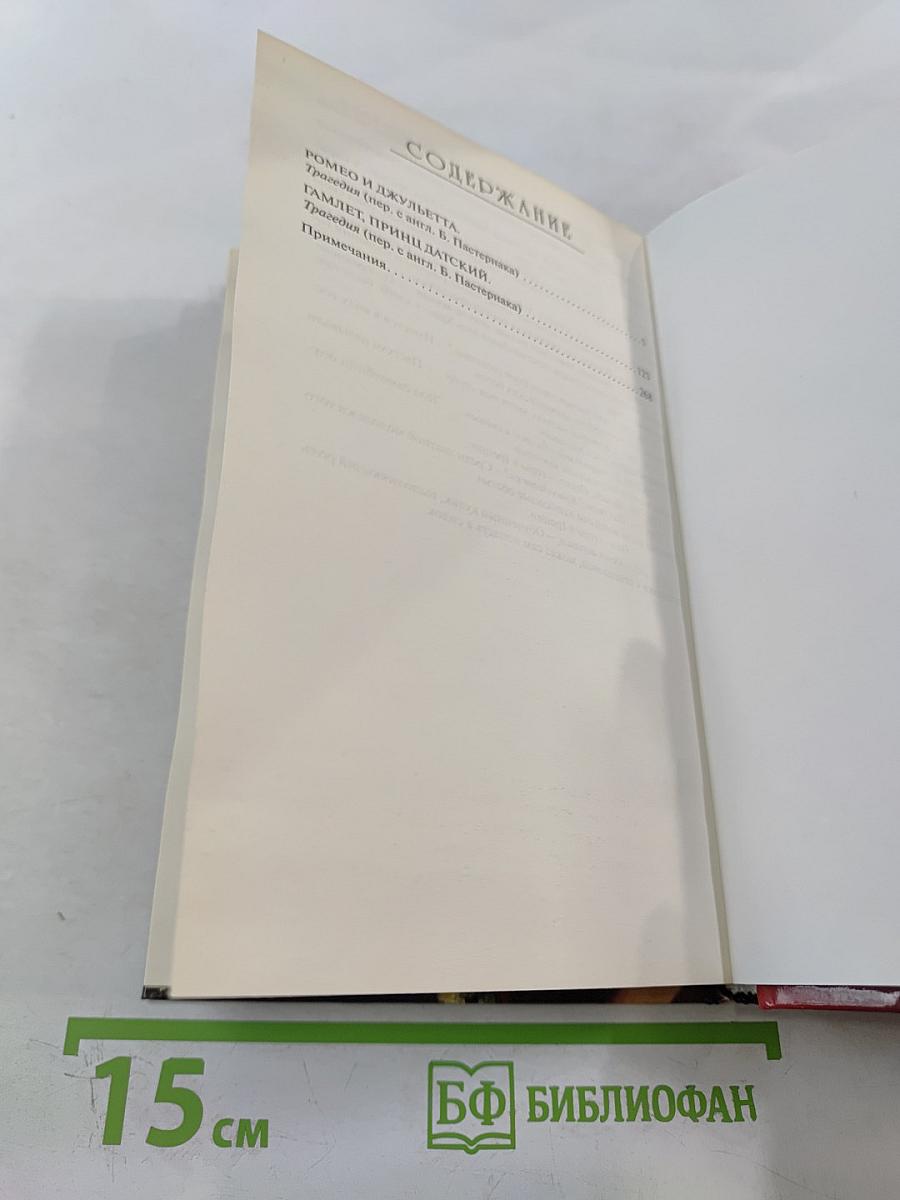 Ромео и Джульетта. Гамлет