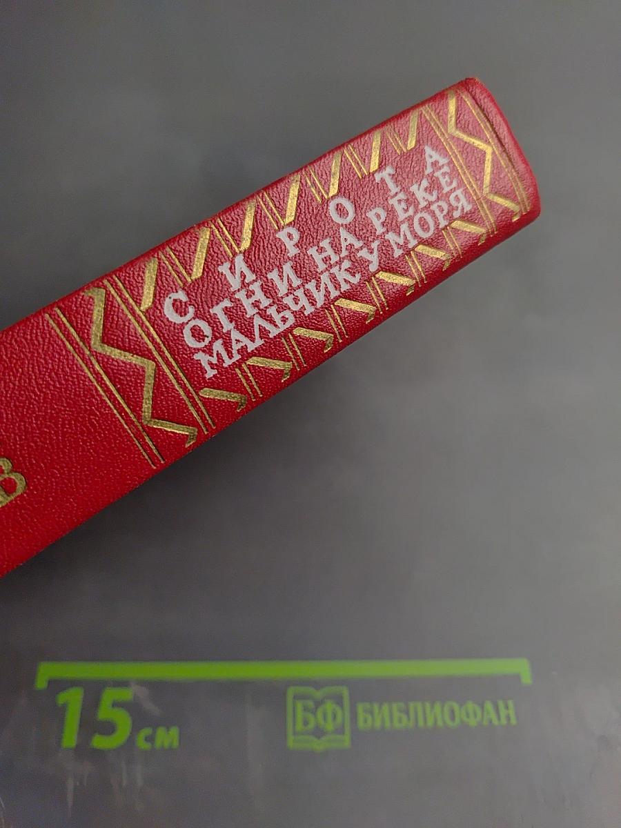 Сирота. Огни на реке. Мальчик у моря