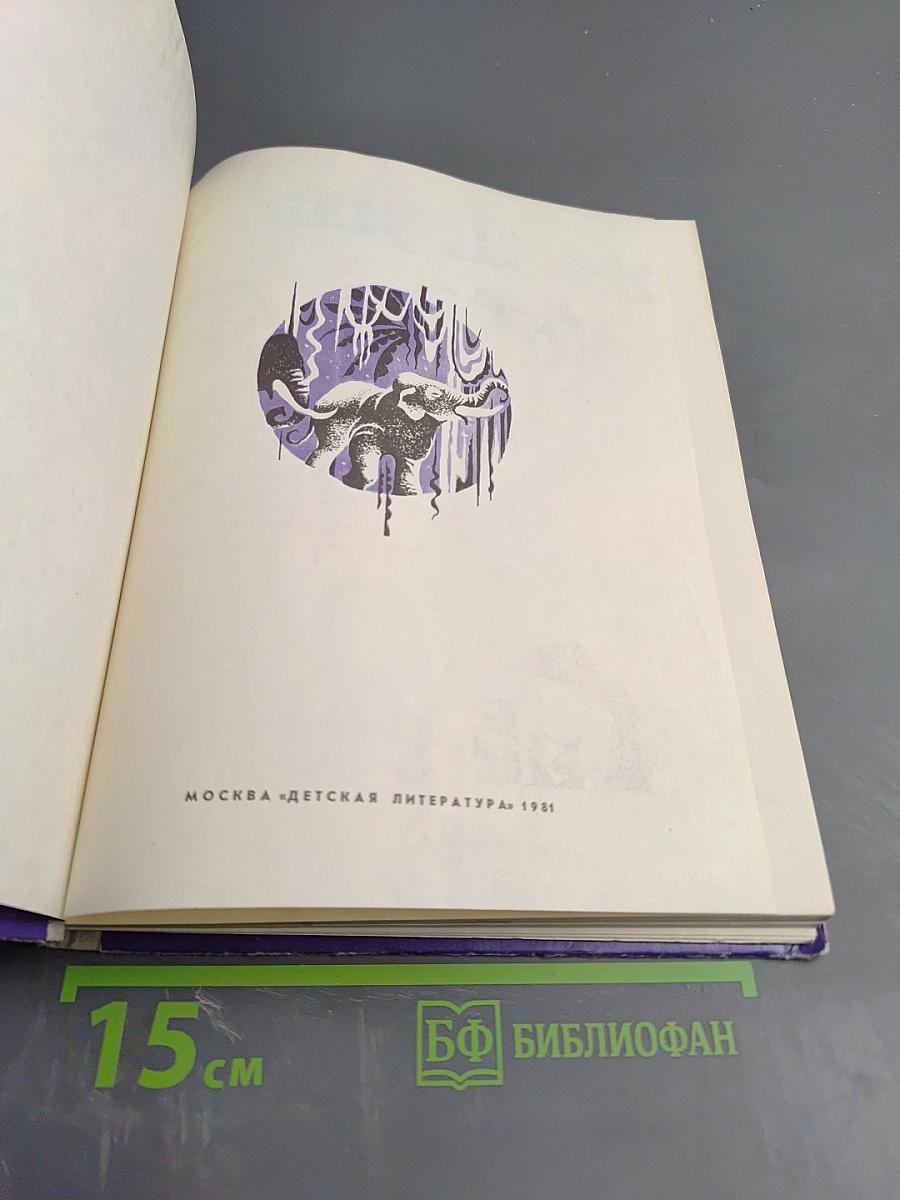 Ночь в джунглях