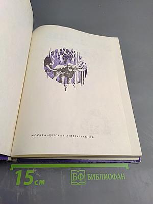 Ночь в джунглях