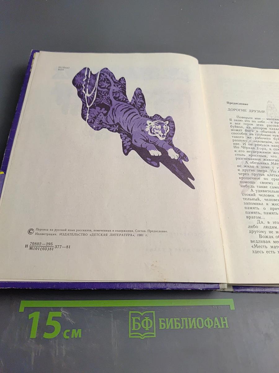 Ночь в джунглях