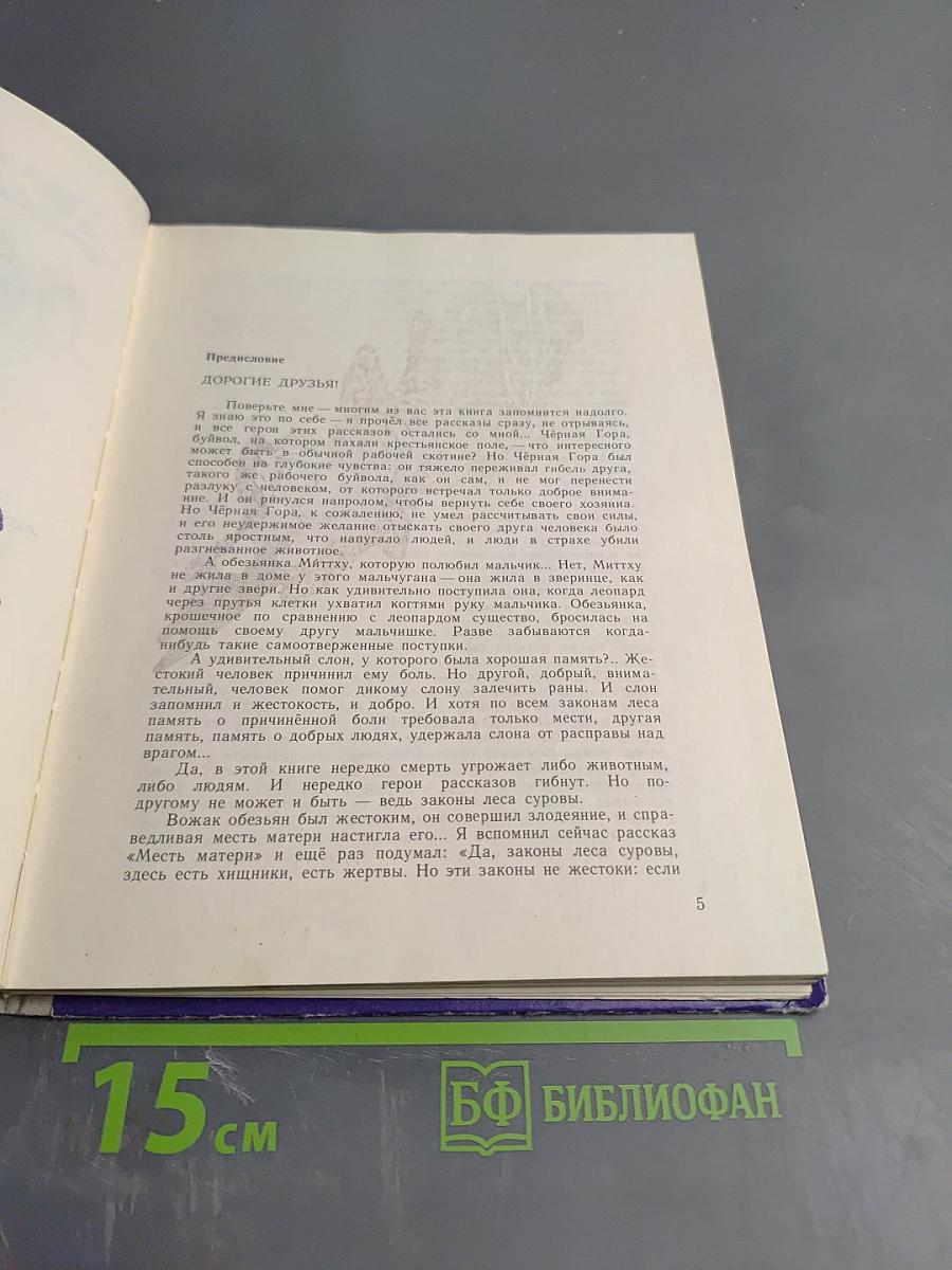 Ночь в джунглях