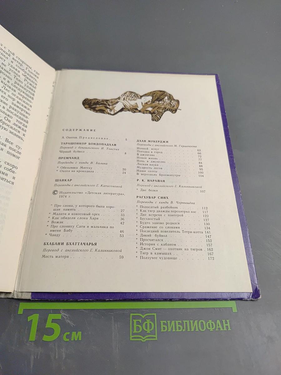 Ночь в джунглях