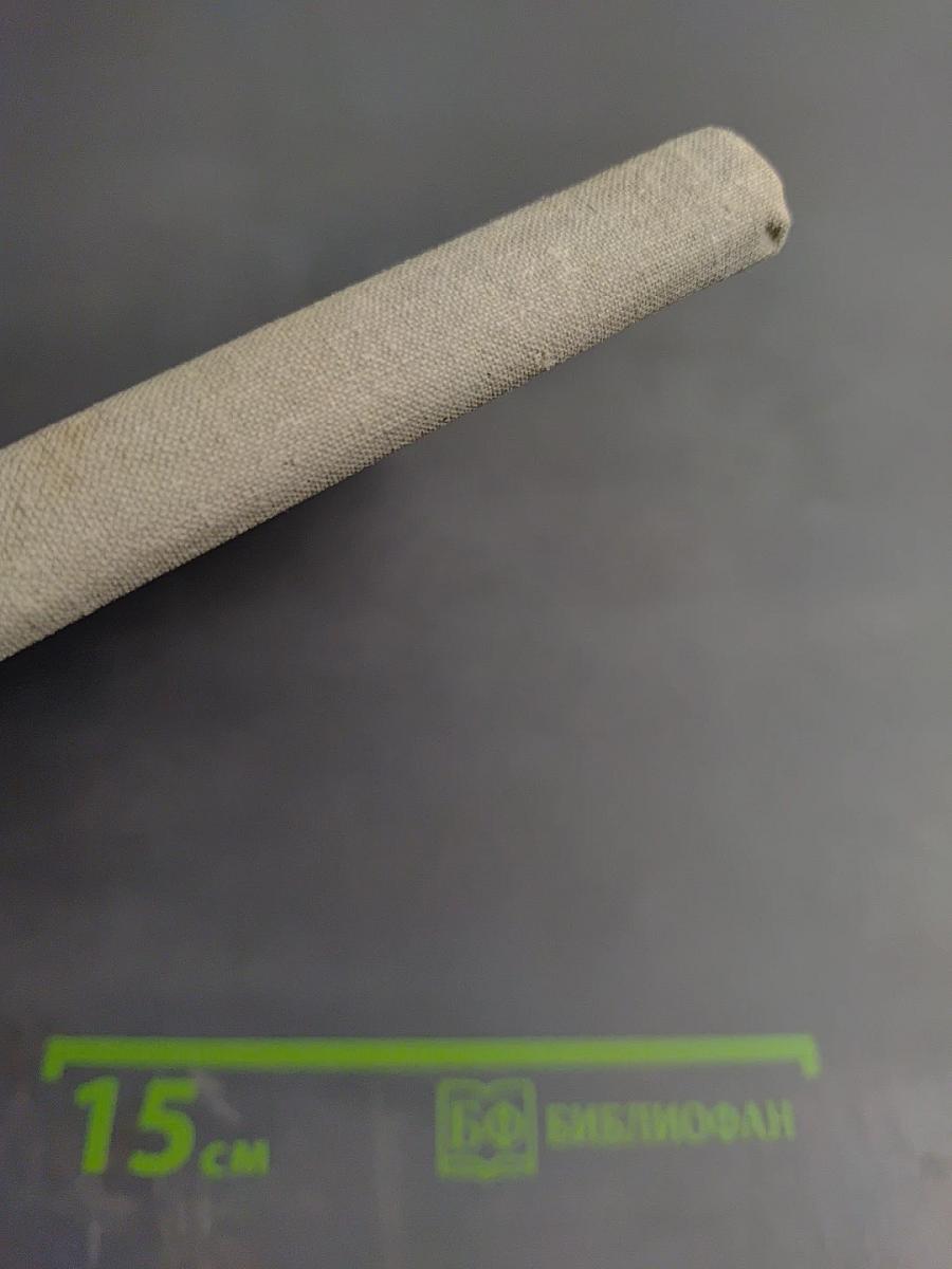 Ночь в джунглях