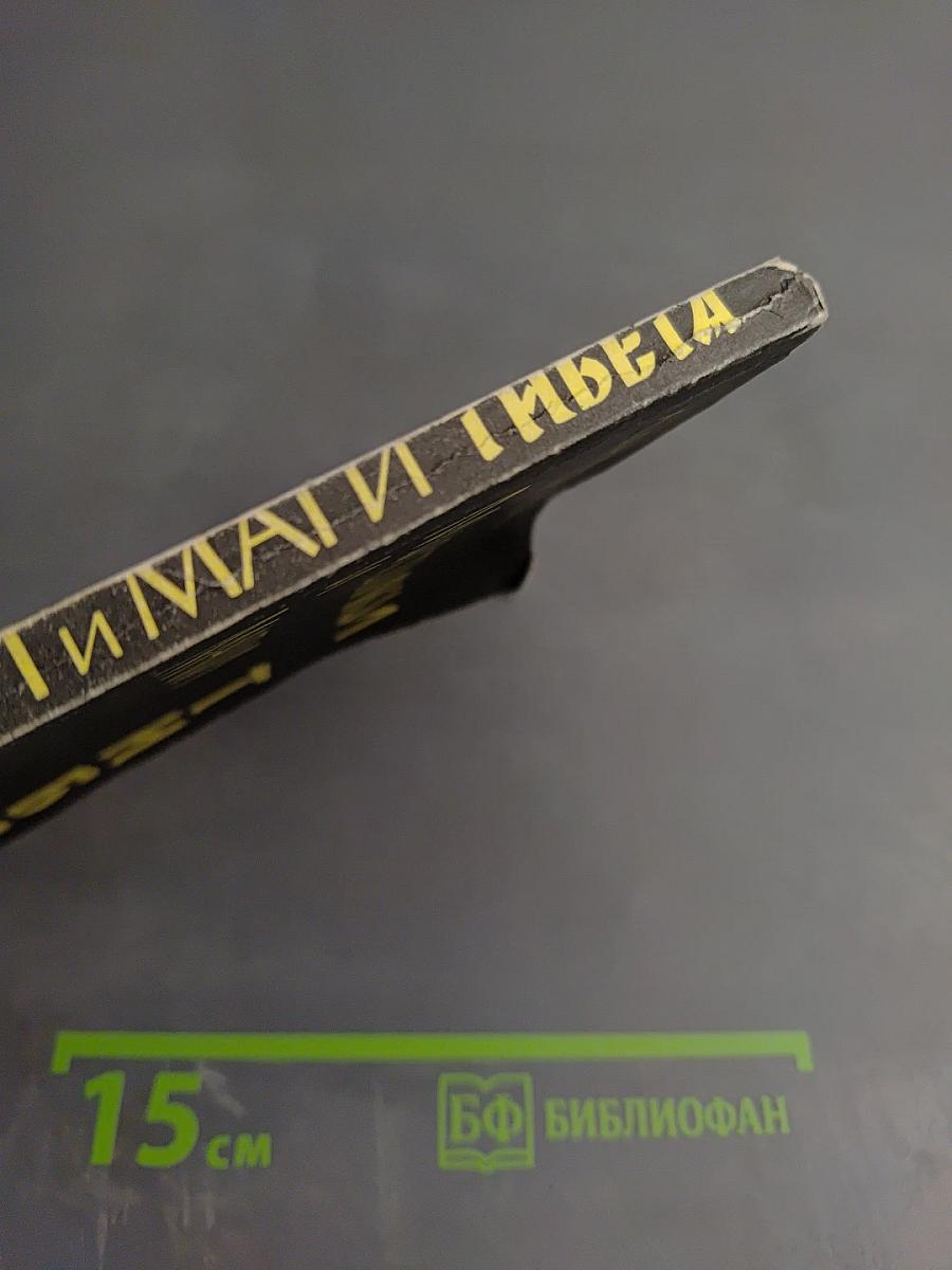 Мистики и маги Тибета