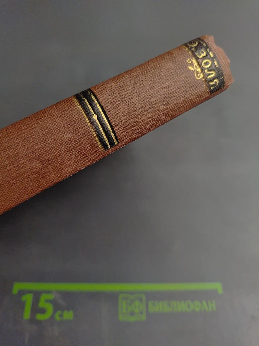 Жерминаль. Том 10