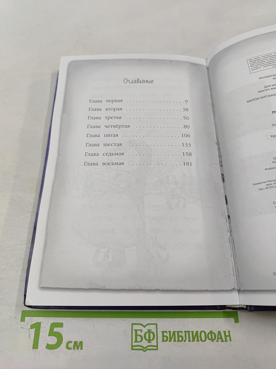 Мейзи Хитчинс. Приключения девочки-детектива: Почему русалка плачет