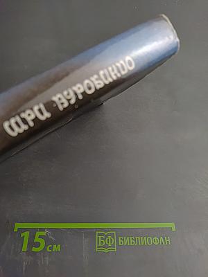 Интегральная Йога