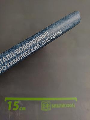 Металл-водородные электрохимические системы