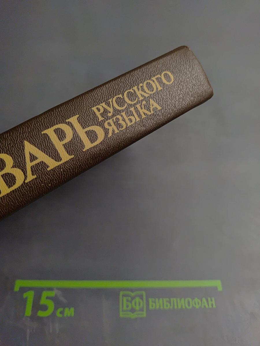 Этимологический словарь русского языка