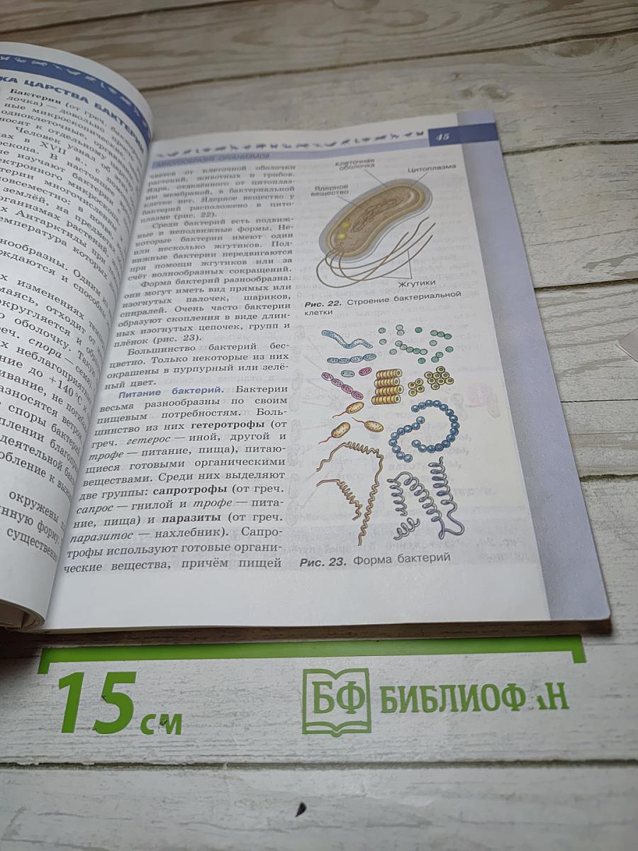 Биология 5-6 классы