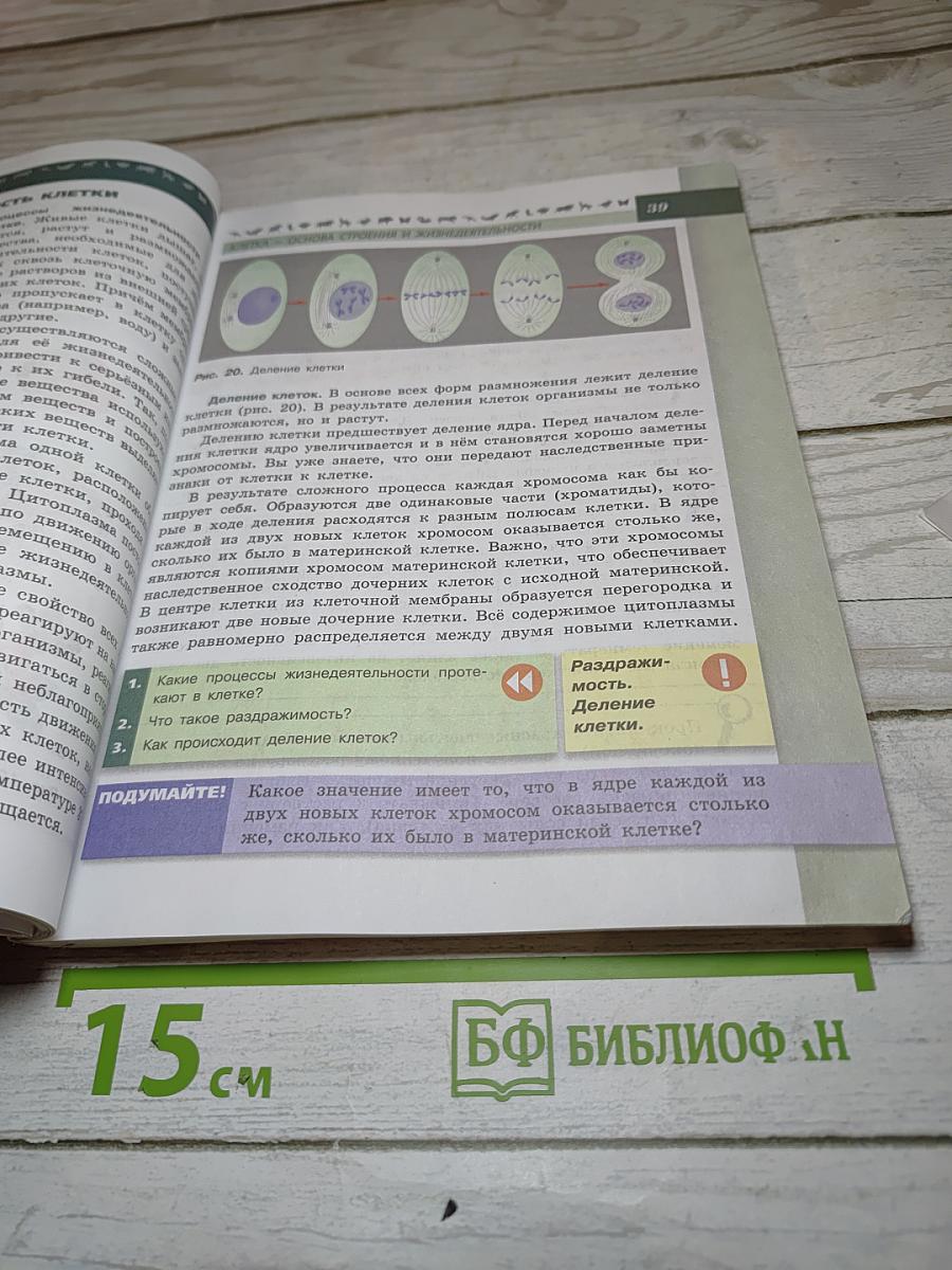 Биология 5-6 классы