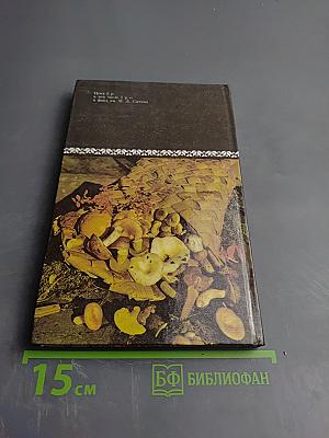 Грибная кухня