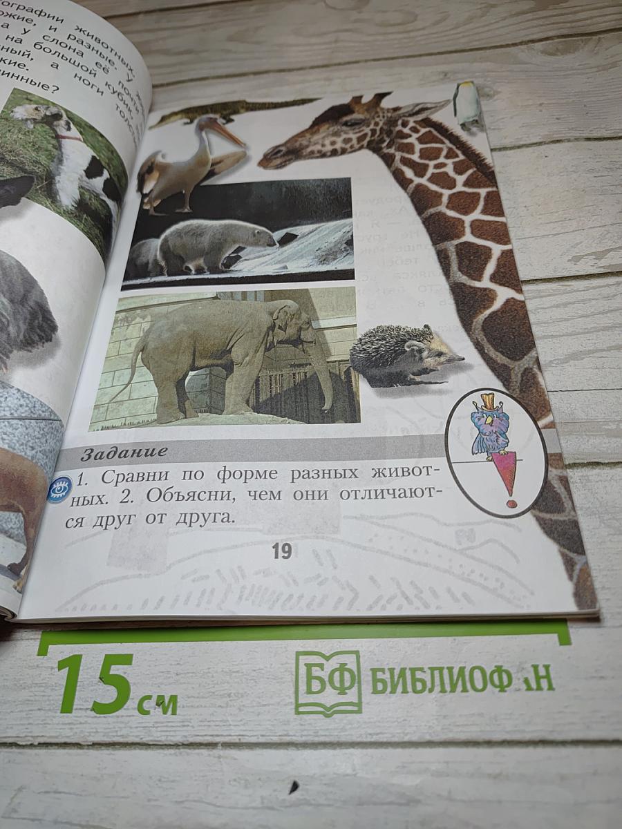 Изобразительное искусство. Ты изображаешь, украшаешь и строишь. 1 класс