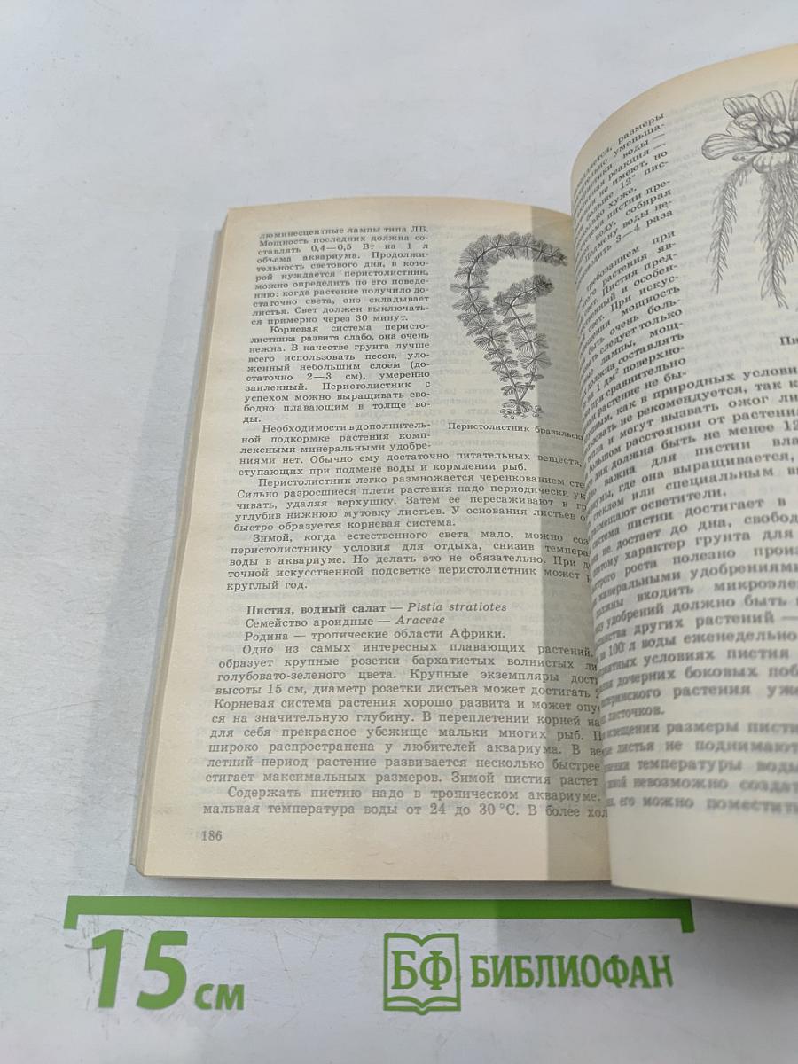 Аквариум и водные растения