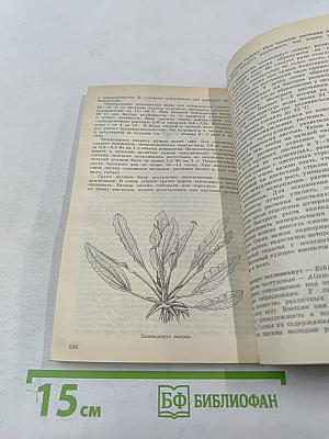 Аквариум и водные растения