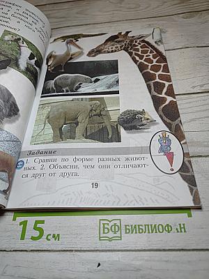 Изобразительное искусство. Ты изображаешь, украшаешь и строишь. 1 класс