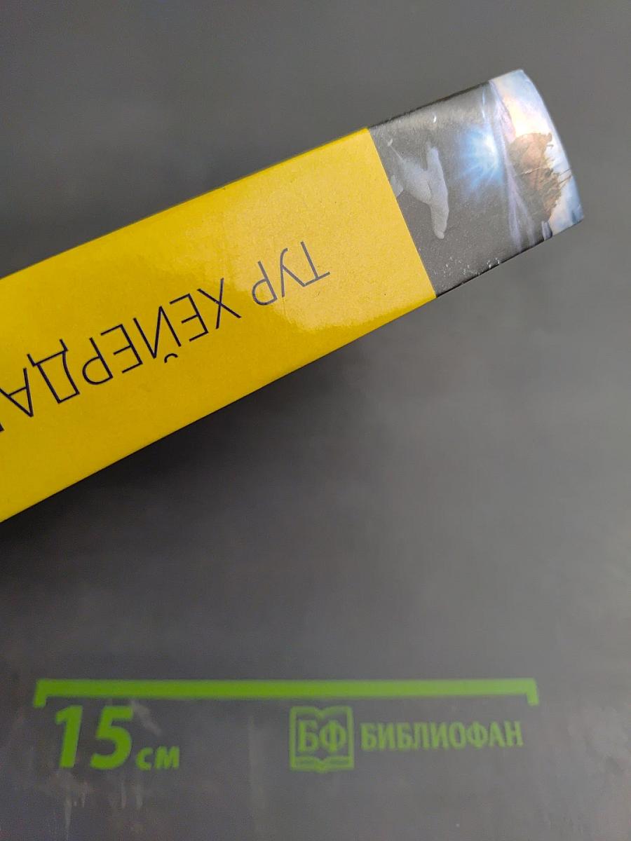 Экспедиция «Тигрис»