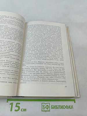 Городок на Дреме